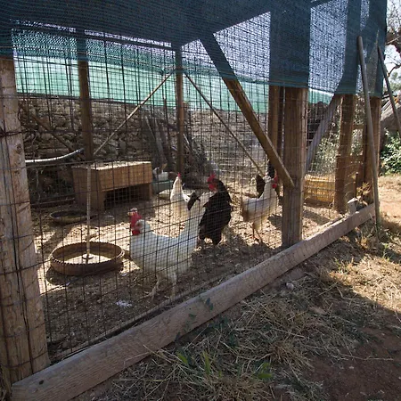 Nocleg ze śniadaniem Biancolivo In Salento Gallipoli