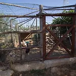 Bed & Breakfast Biancolivo In Salento Gallipoli