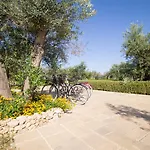 Biancolivo In Salento