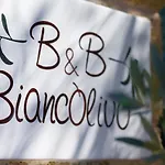 Biancolivo In Salento Gallipoli