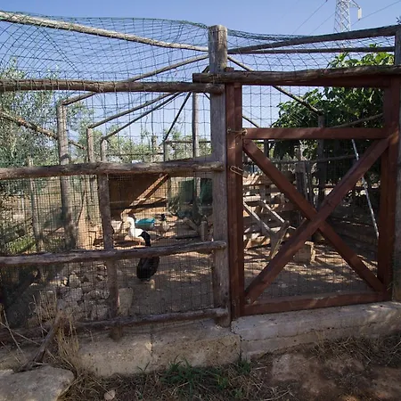 Panzió Biancolivo In Salento Gallipoli