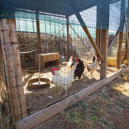 Biancolivo In Salento فندق مبيت وإفطار غالّيبولي