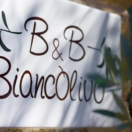 Biancolivo In Salento ガリポリ
