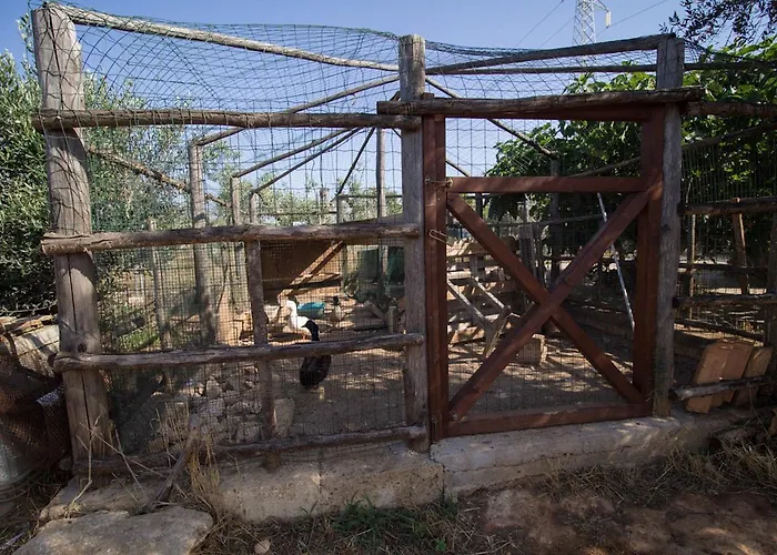 Bed & Breakfast Biancolivo In Salento Gallipoli