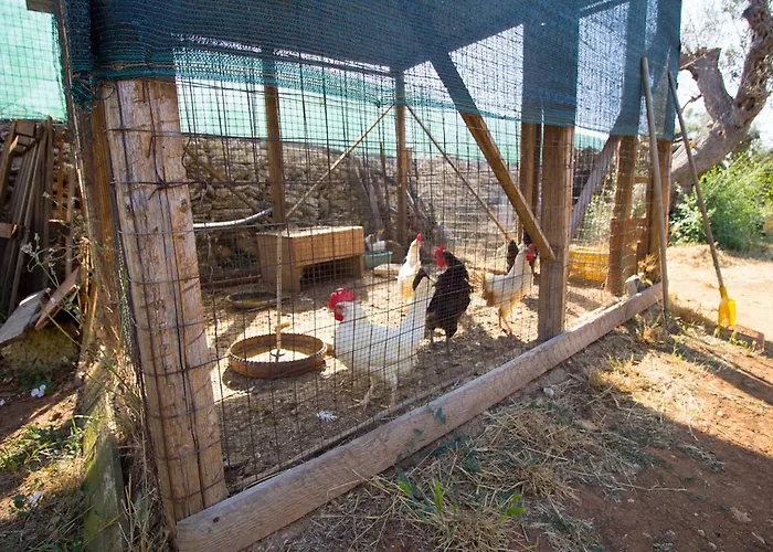 Biancolivo In Salento Bed & Breakfast Gallipoli