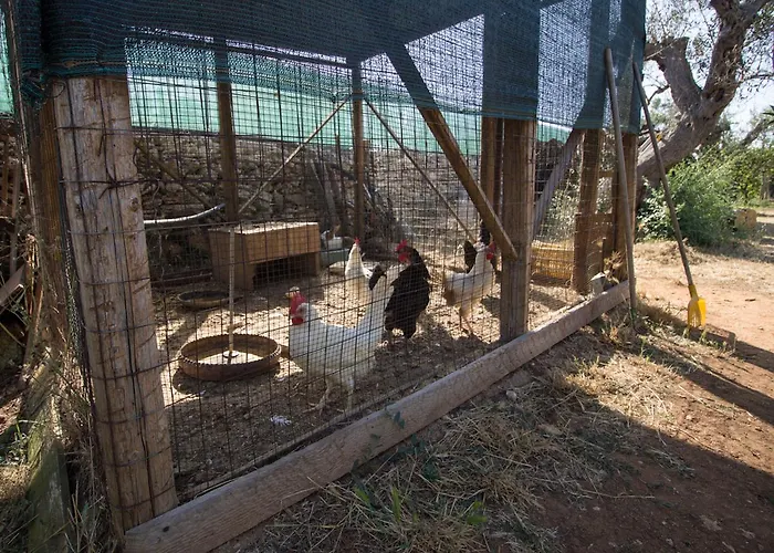 Bed & Breakfast Biancolivo In Salento Gallipoli