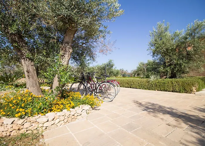 Biancolivo In Salento