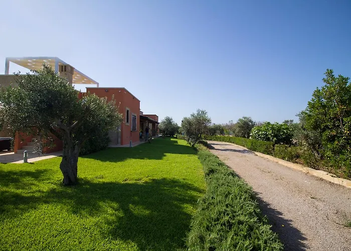 Biancolivo In Salento Bed & Breakfast