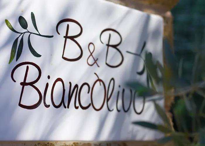 Biancolivo In Salento Gallipoli